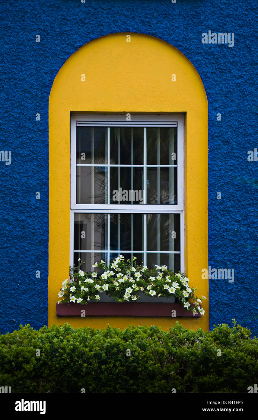 Fenster-Blumen-West Cork-Irland Stockfoto