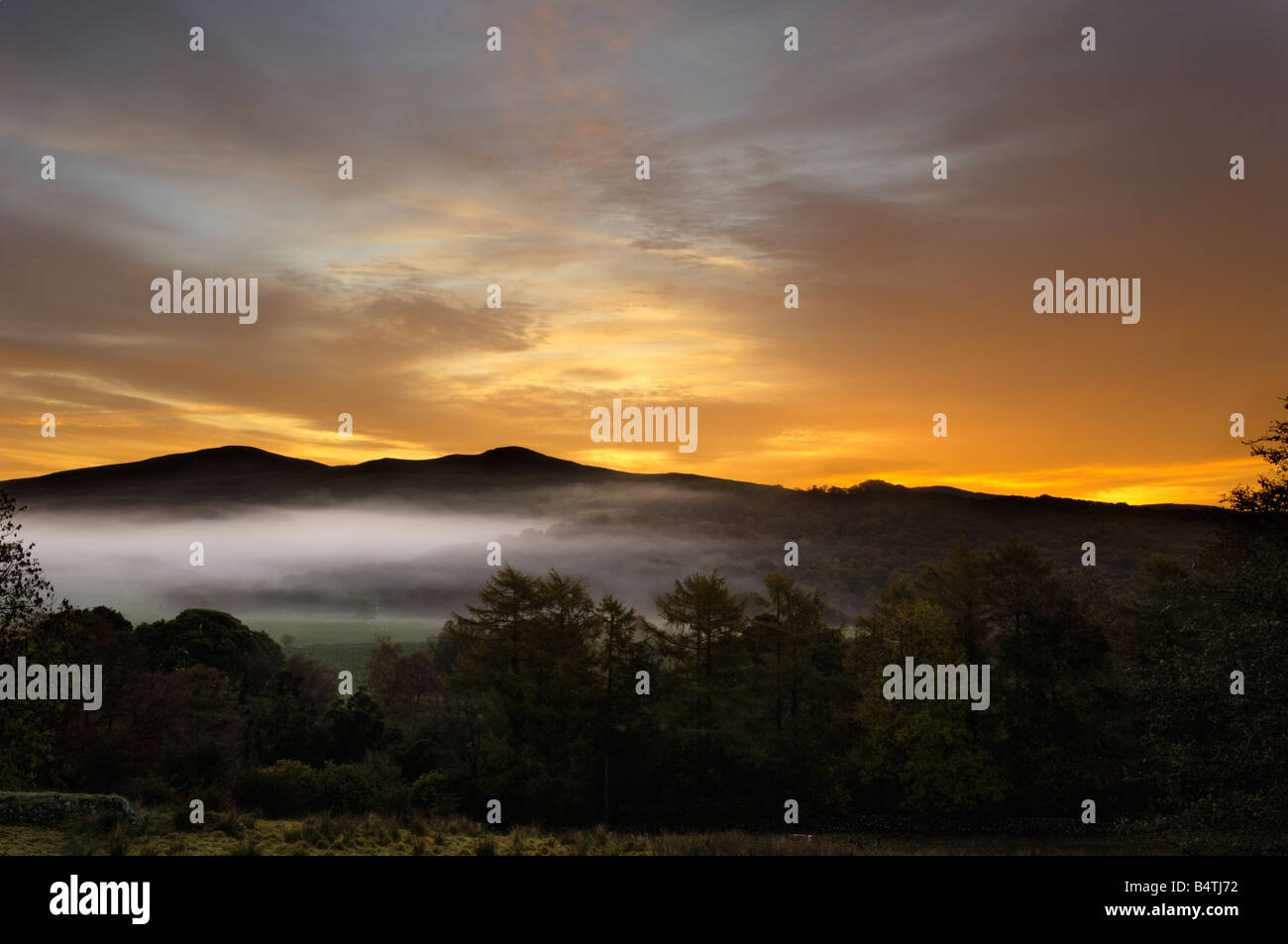 Nebligen Sonnenaufgang über der Flotte Tal National Scenic Area, Dumfries & Galloway, Scotland Stockfoto