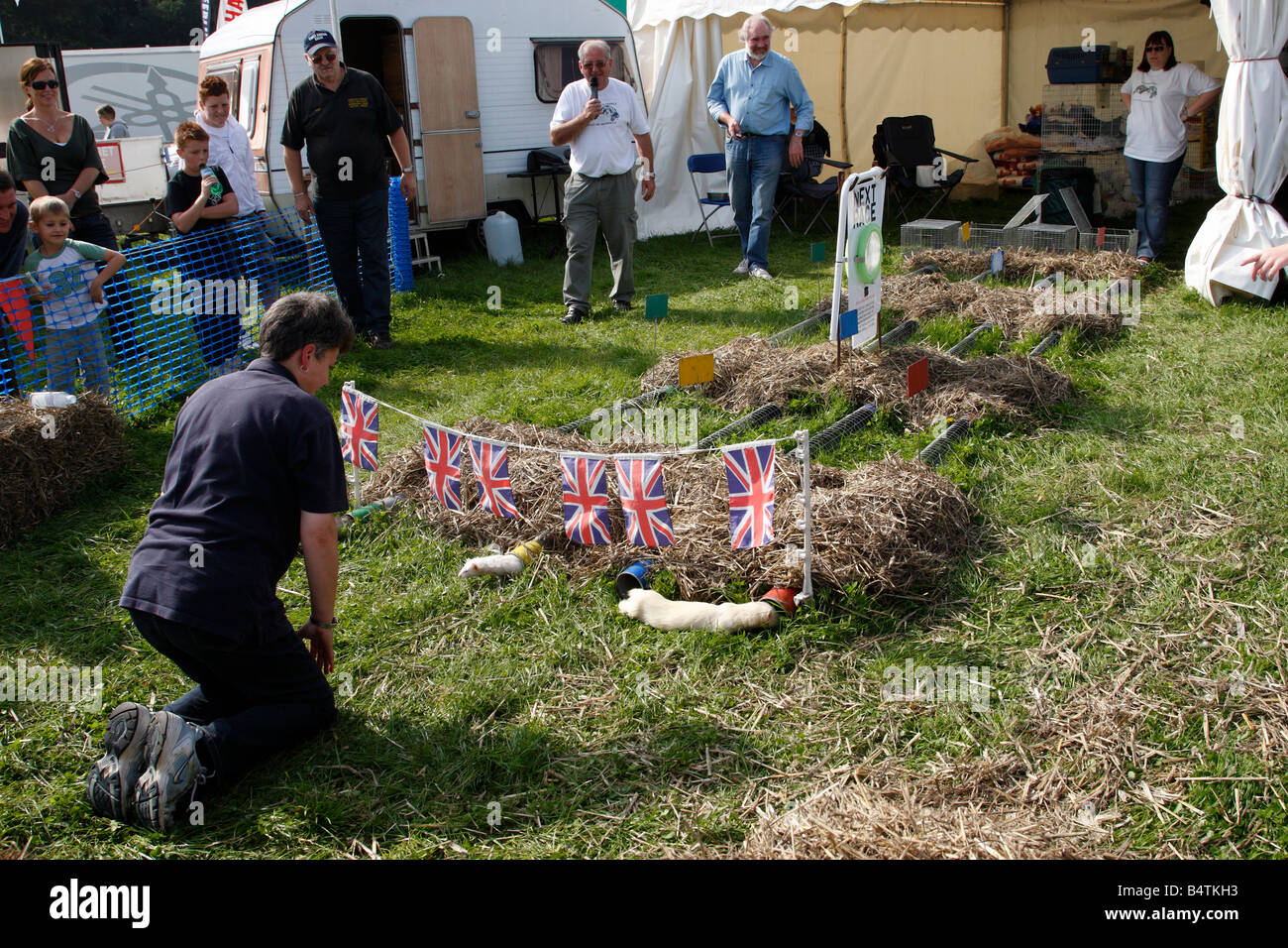 Frettchen-Rennen in den Midlands Spiel fair Weston Park Shropshire England uk Stockfoto