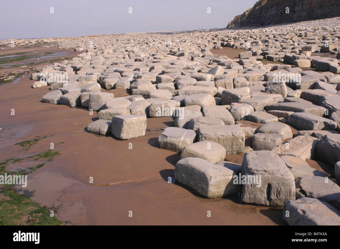 Eine geologische SSSI am Kilve Beach in North Somerset mit Kalkstein-Plattformen Stockfoto