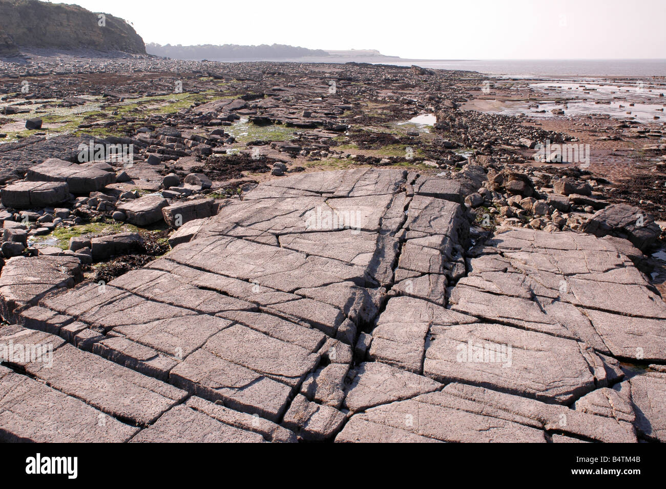 Eine Küste geologischen Site of Special Scientific Interest in der Nähe von Lilstock in North Somerset mit Vorland Belichtungen von Blue Lias Stockfoto