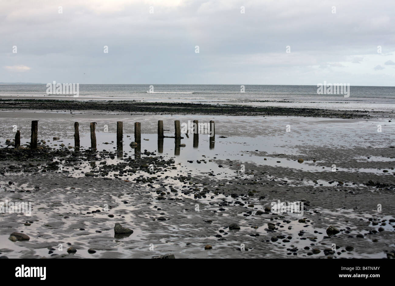 Die Reste des hölzernen Buhnen am Strand in Newcastle County Down Nordirland erodieren Stockfoto