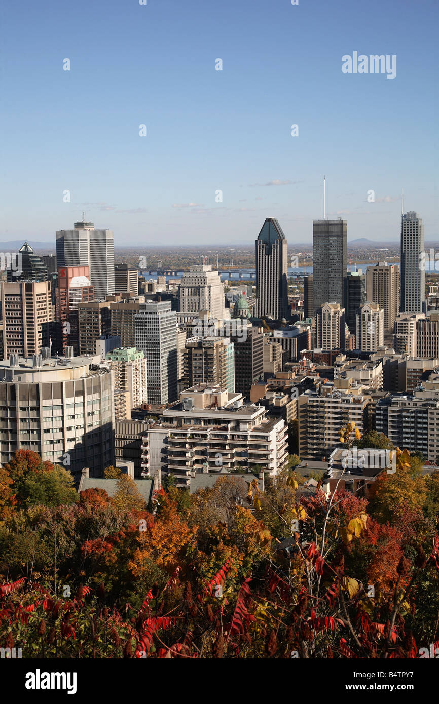 Kanada-Quebec-Montreal-Skyline-Herbstlaub Stockfoto