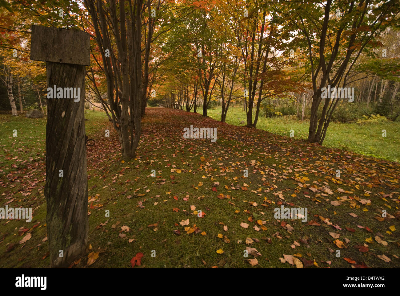 Genommen in Baie St-Paul, Charlevoix Stockfoto