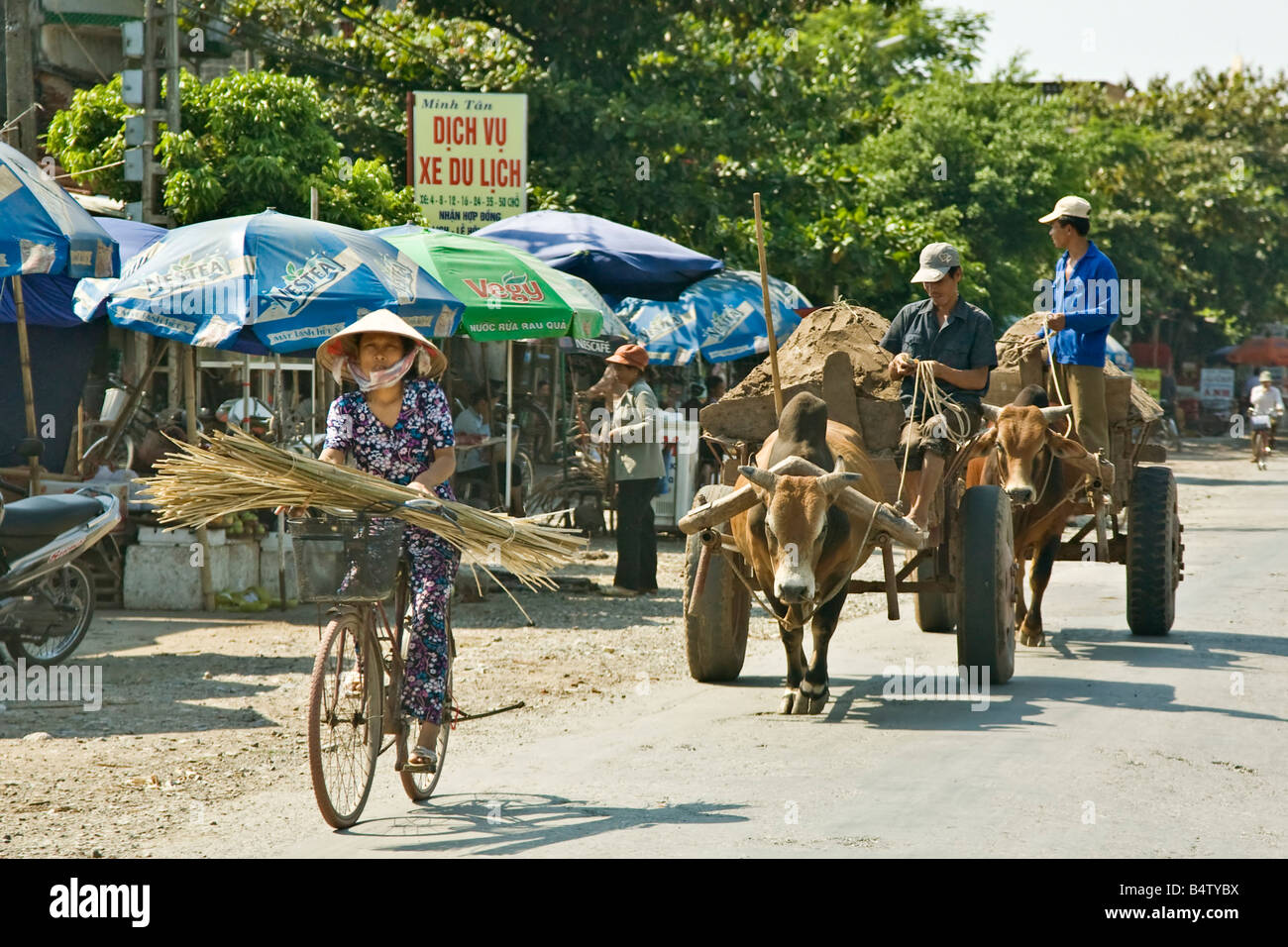 Fahrrad und Wagen auf der Landstraße, Ninh Binh Provinz, Nord-Vietnam Stockfoto