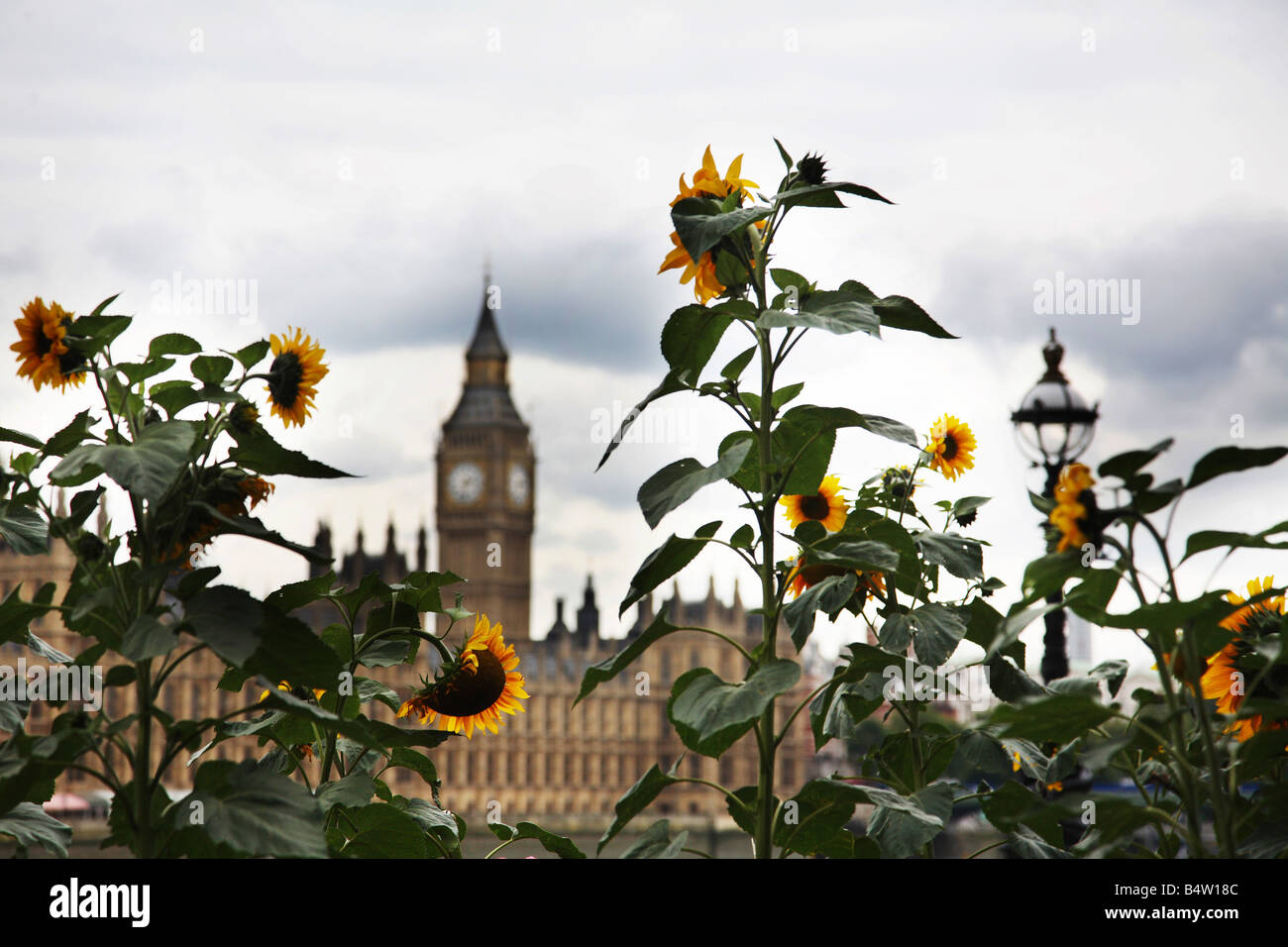Guerilla gardening in London. Stockfoto