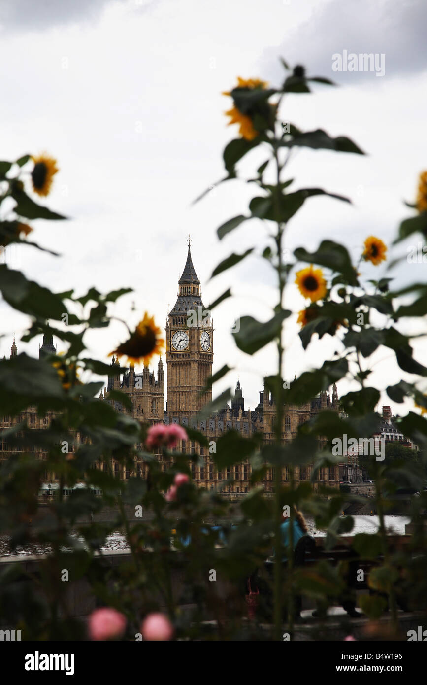 Guerilla gardening in London. Stockfoto