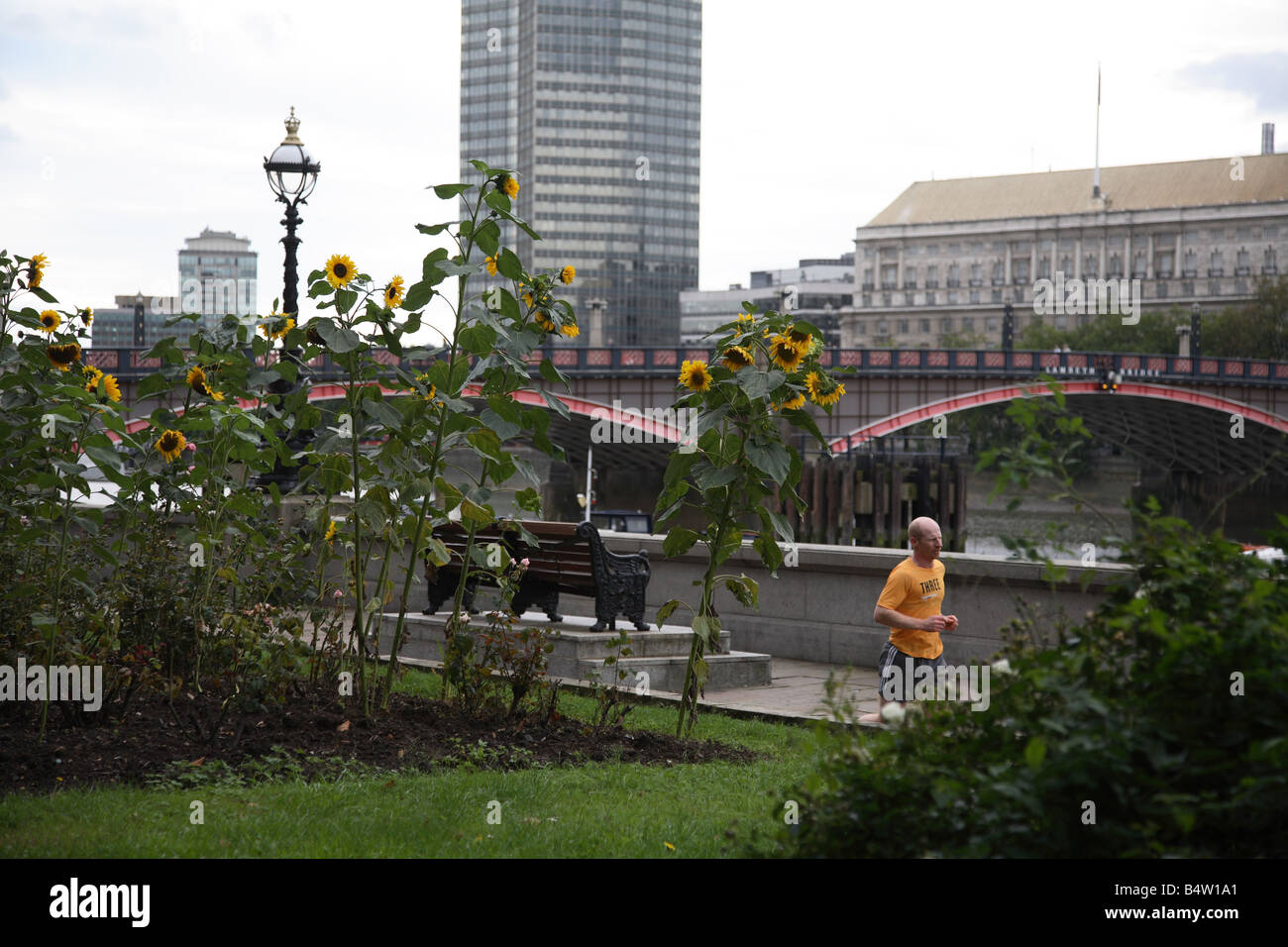 Guerilla gardening in London. Stockfoto