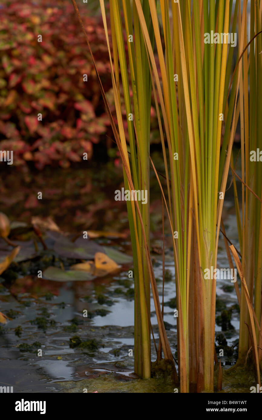 Wasseraufbereitungsanlage Stockfoto