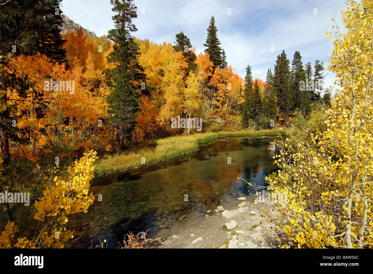 Herbst Teich auf Bischof Bach in der östlichen Sierra Nevada. Stockfoto