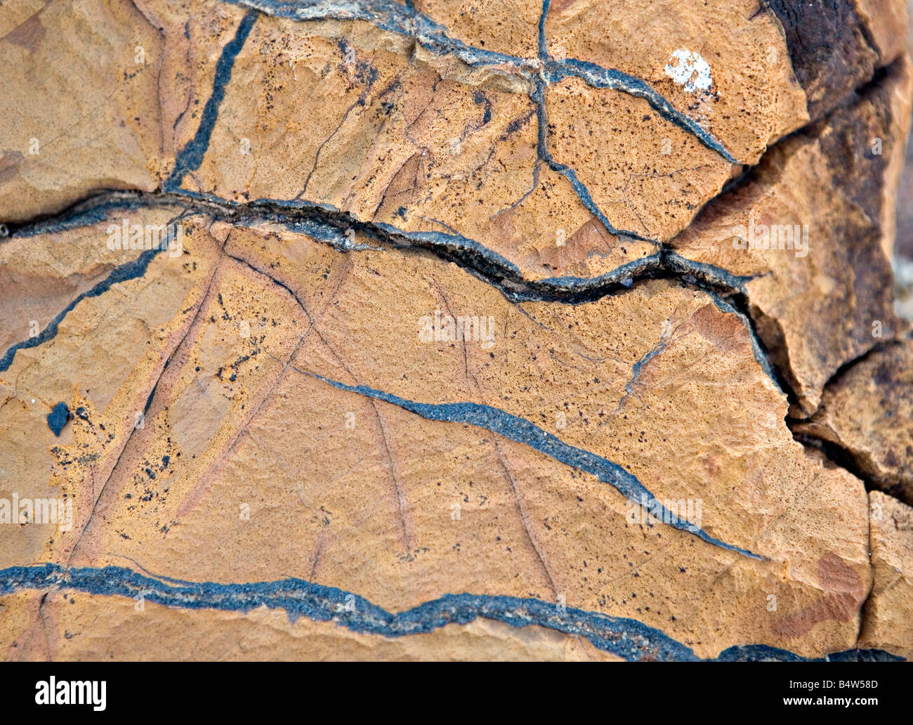 Der verbrannte Berg Rock Probe in Twyfelfontein Damaraland Namibia Stockfoto