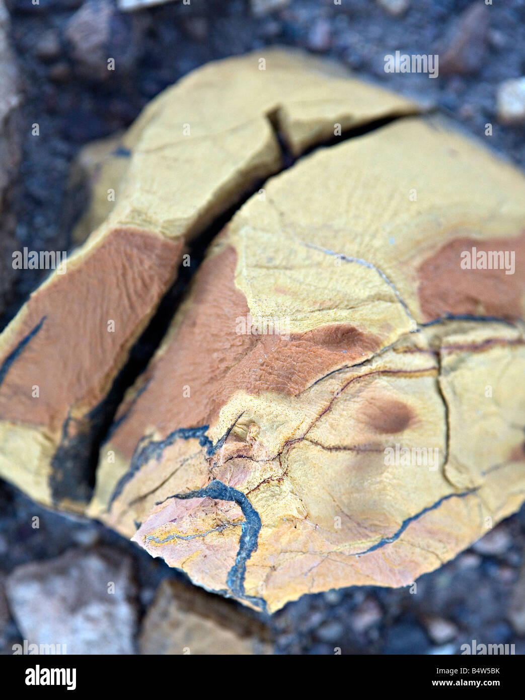 Der verbrannte Berg Rock Probe in Twyfelfontein Damaraland Namibia Stockfoto