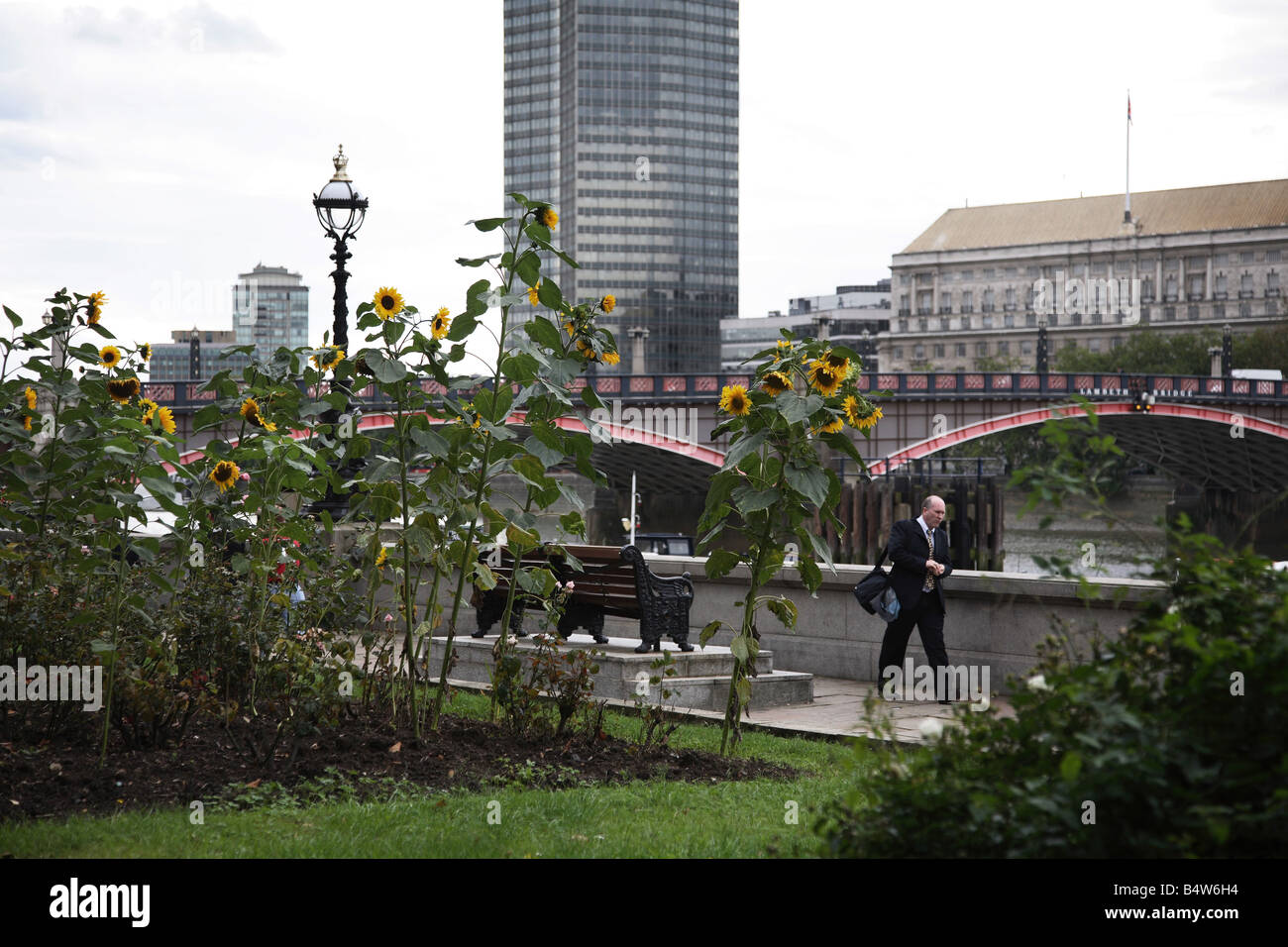 Guerilla gardening in London. Stockfoto