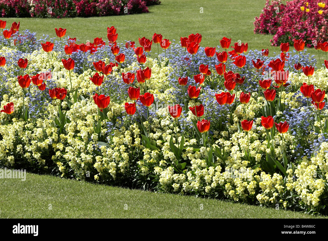 Tulpen und andere Blumenbeete im St James s Park CIty of Westminster SW1 London England Stockfoto