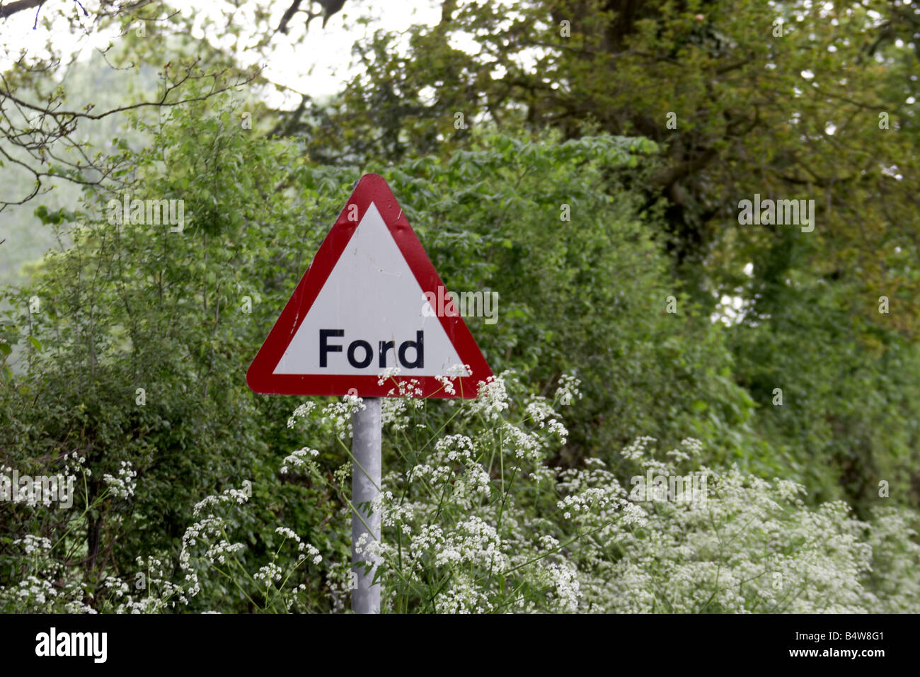 Ford Verkehr Warnzeichen mit Wildblumen Hampshire England UK Stockfoto