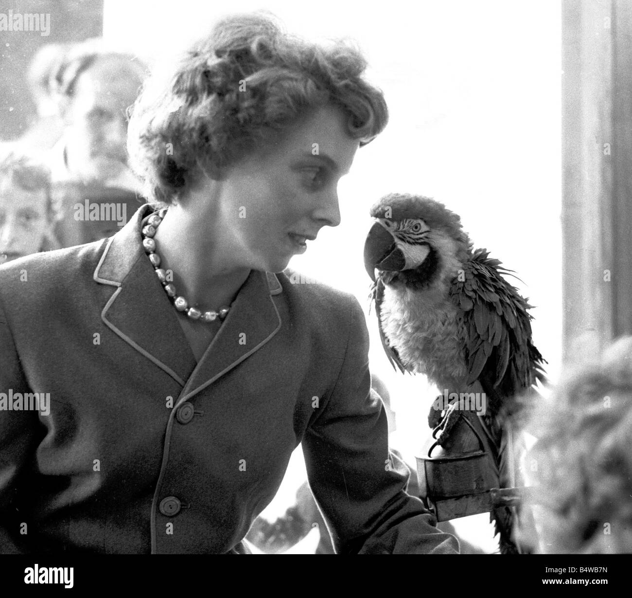 Dame mit einem Papagei in einer Zoohandlung, Coventry &#13; &#10; Juli 1962 Stockfoto