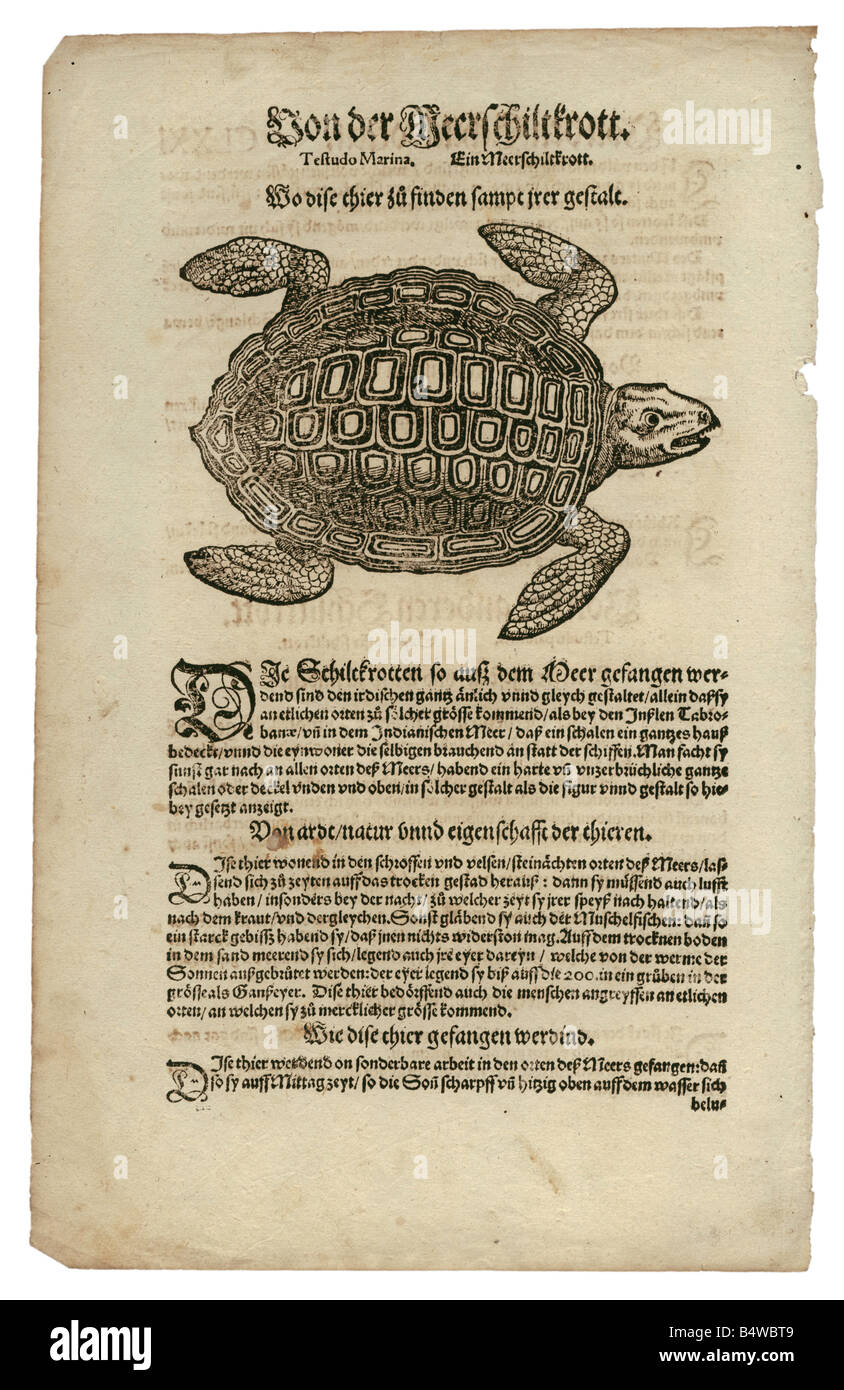 Zoologie/Tiere, Lehrbücher, "Historia animalium", von Conrad Gessner, Zürich, Schweiz, 1551 - 1558, Meeresschildkröte (Cheloniida), Holzschnitt, Stockfoto