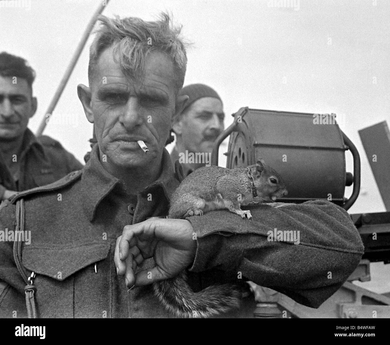 Britischer Soldat mit einem Eichhörnchen am Arm in einem Hafen der Normandie im Norden Frankreichs kurz nach dem D-Day Landungen begonnen die alliierte Invasion des Kontinents im Weltkrieg 2. Juni 1944 Stockfoto