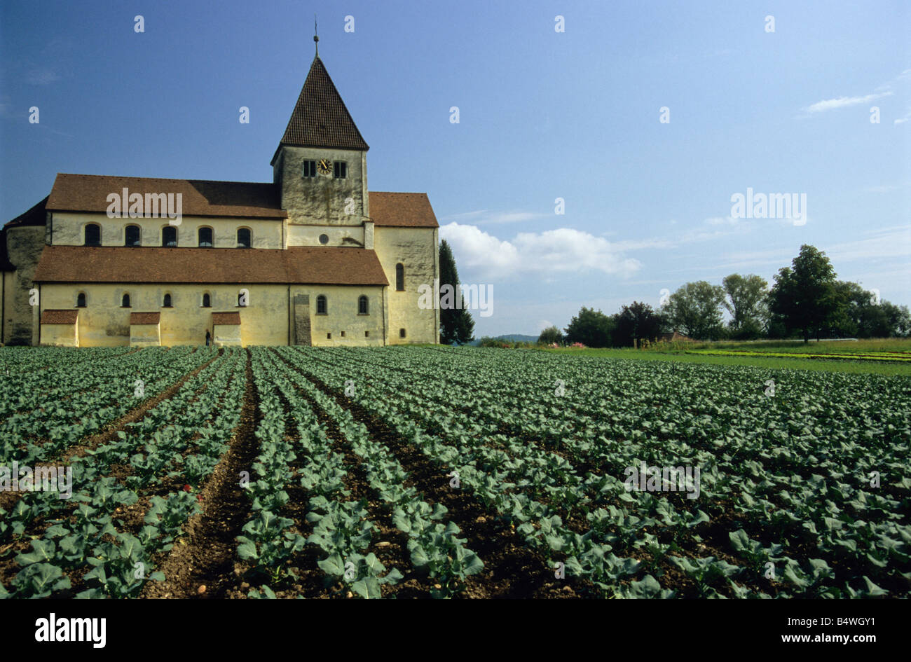 Die Kirche St. Georg auf der klösterlichen Insel Reichenau, Kreis Konstanz, Baden Württemberg, Deutschland Stockfoto
