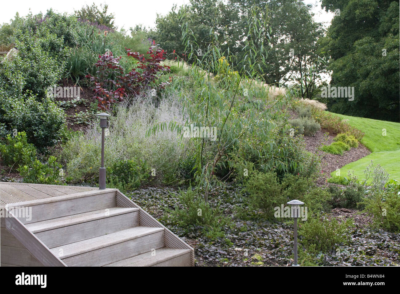 Grüne Eiche Garten Schritte mit Gartenbeleuchtung. Krautige Grenze von Rasenfläche. Stockfoto