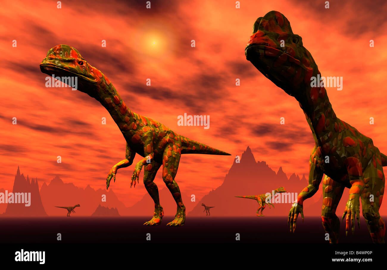 Dinosaurier-Dawn... Eine Gruppe von Carniverous Jurassic "Dilophosaurus" Dinosaurier. Stockfoto