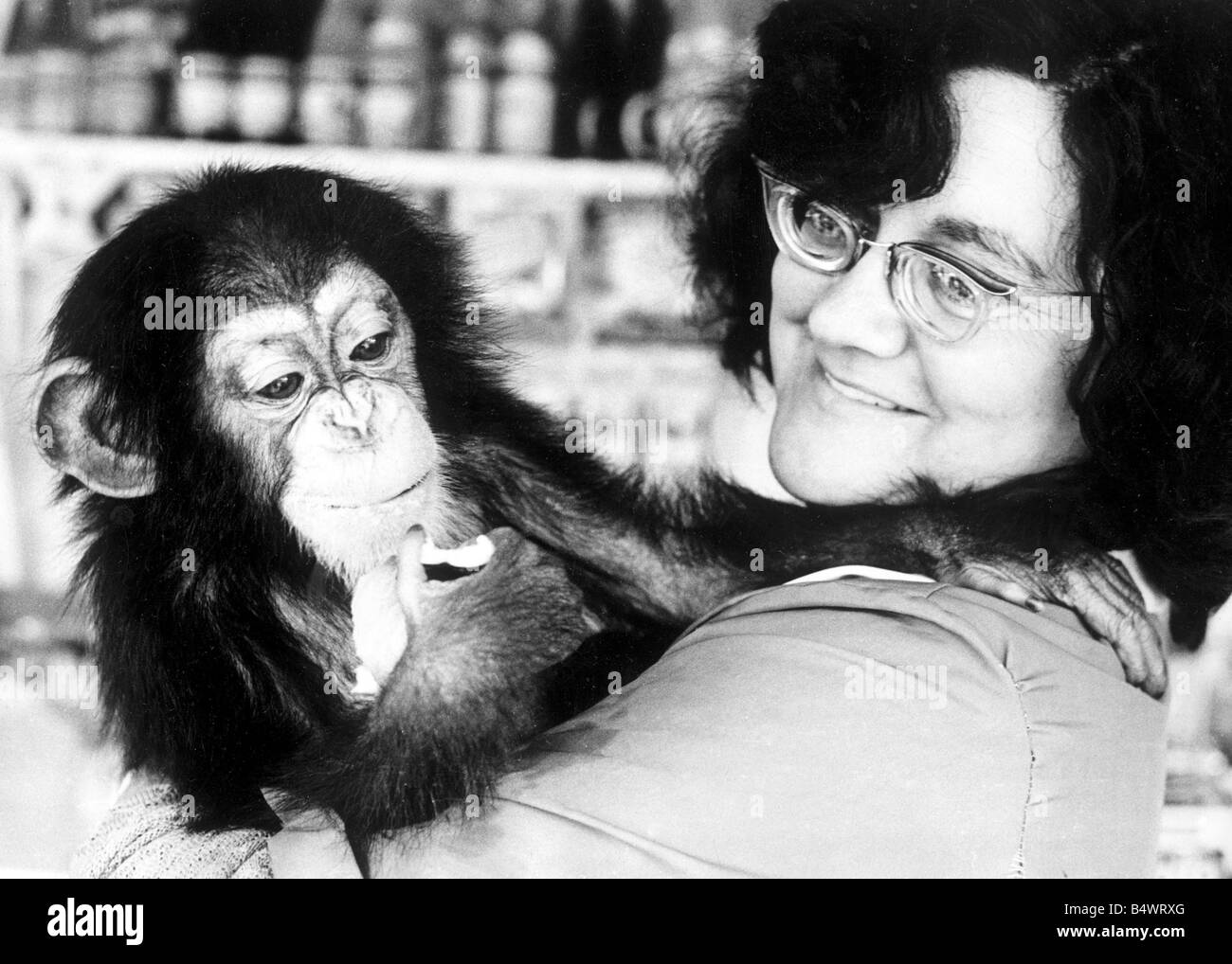 Frau Leslie Clews mit Judy die einjährige Schimpanse, abgebildet bei Southam Zoo Farm, Warwickshire.; 19. August 1967; Stockfoto