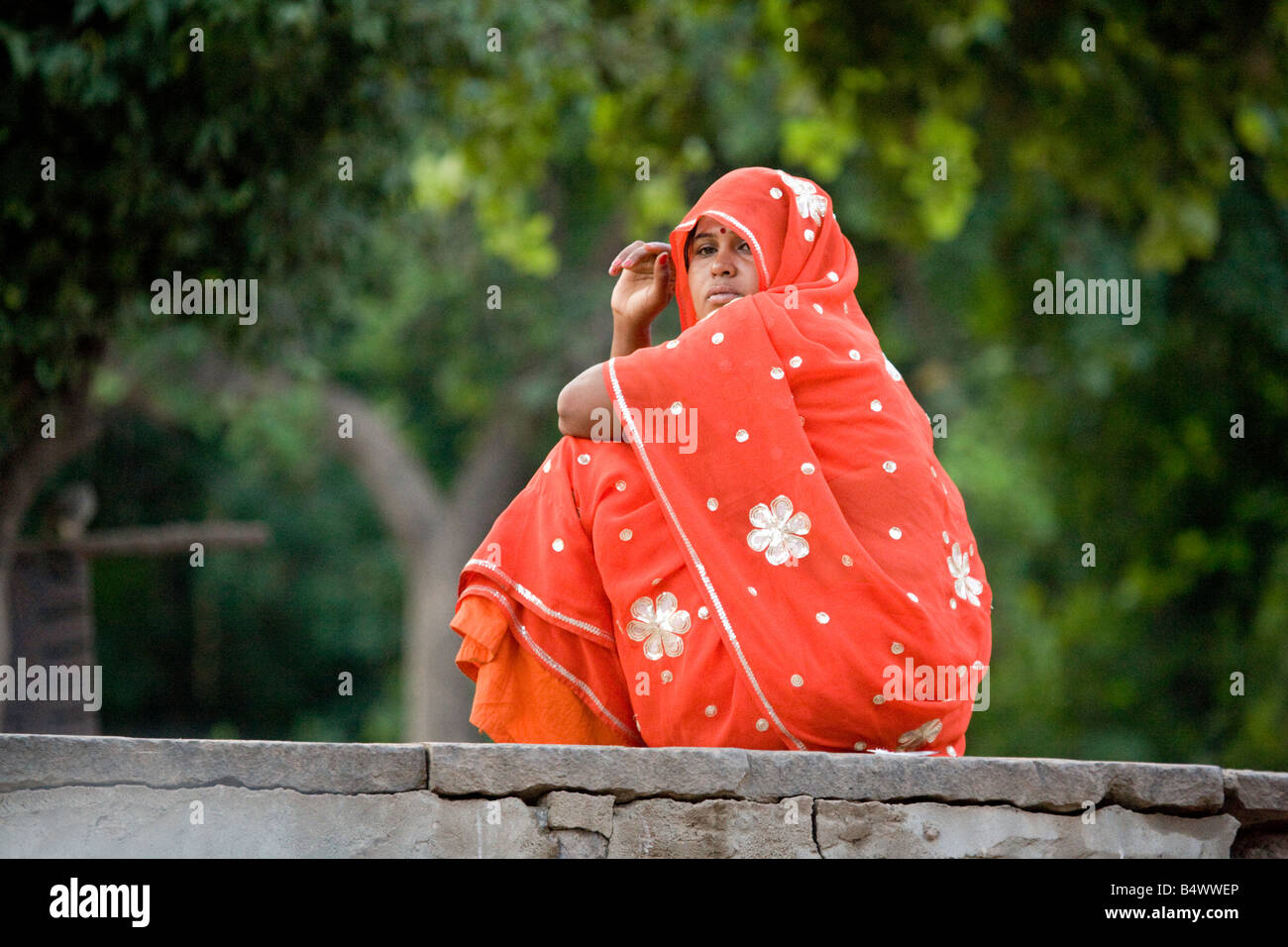 Eine indische Frau in einem roten Sari sitzt auf einer Mauer, Ranthambore Nationalpark, Rajasthan, Indien Stockfoto