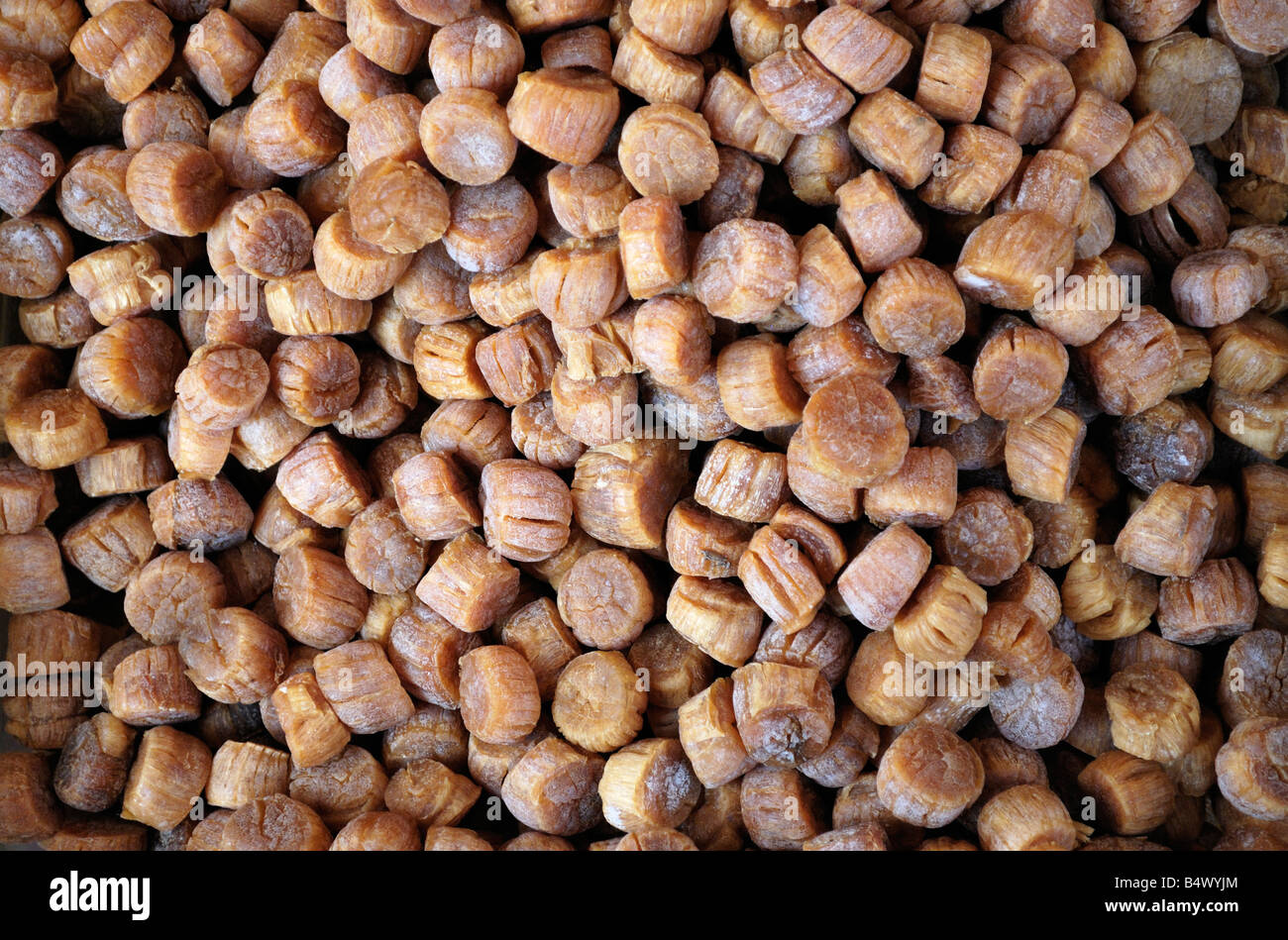 Japanische Jakobsmuscheln auf einem chinesischen Straßenmarkt getrocknet. Stockfoto