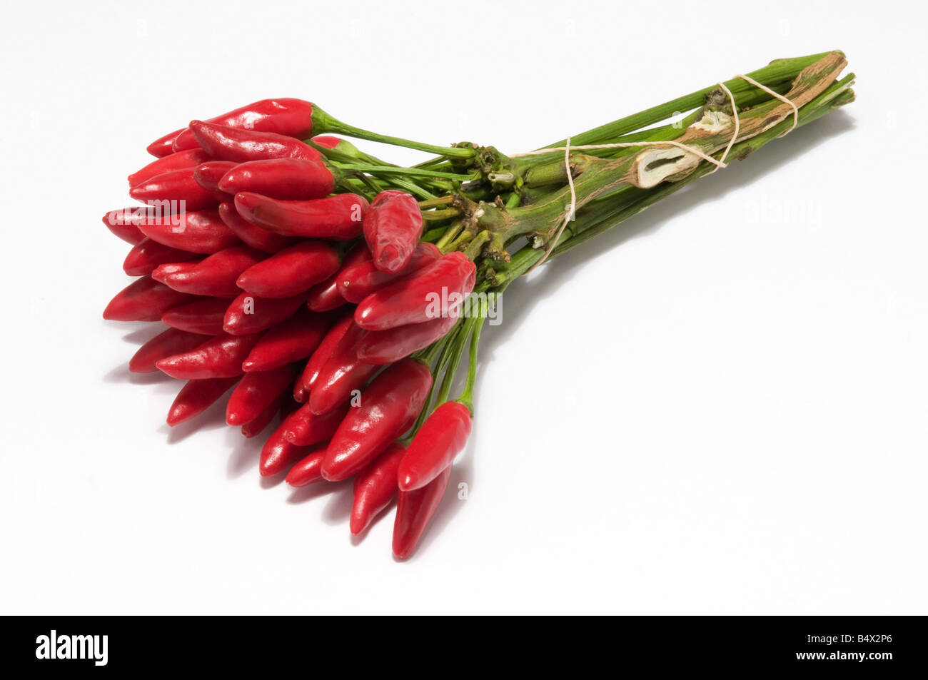 Red hot chili Peppers auf weißem Hintergrund Stockfoto