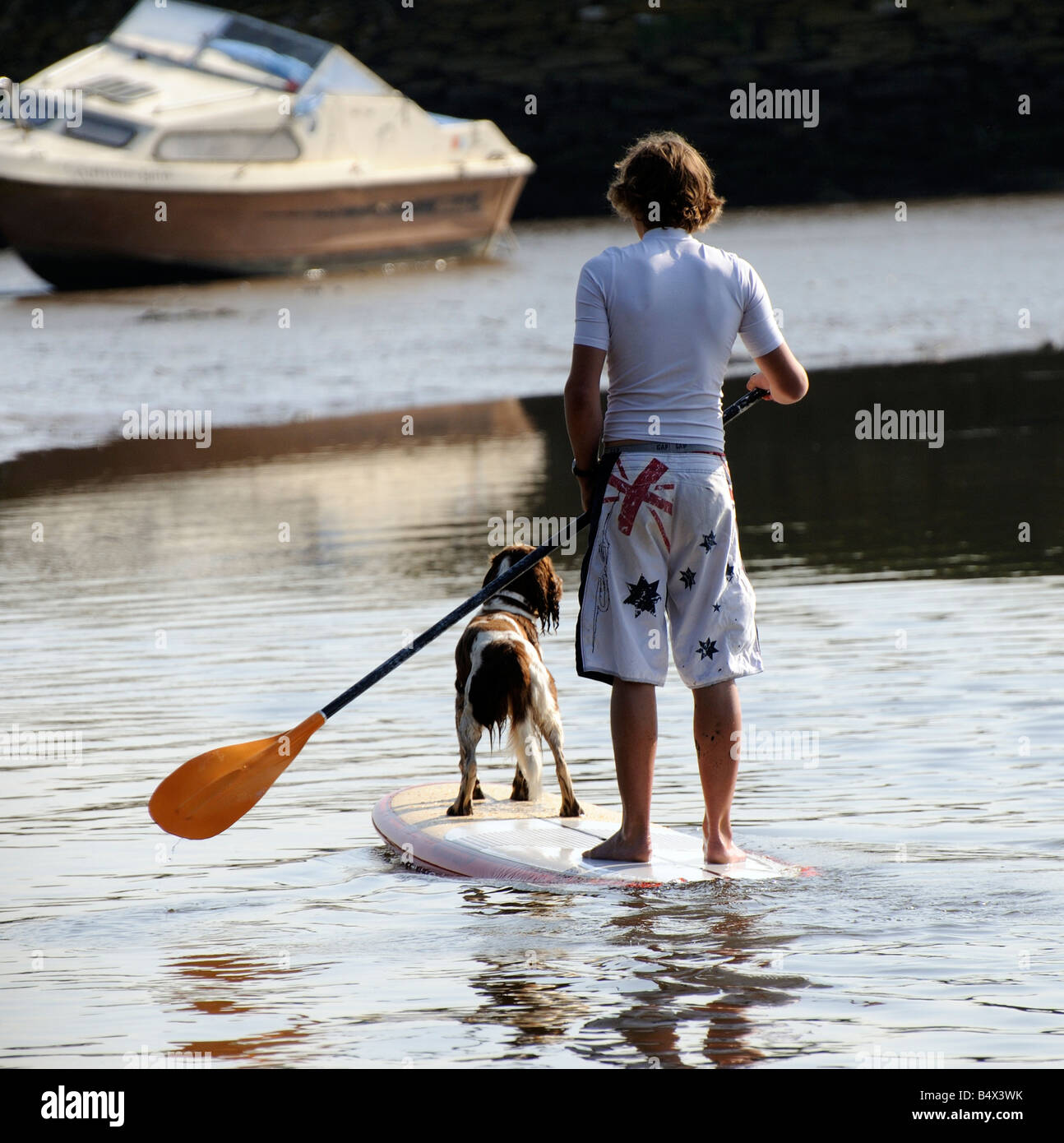 Fluß Avon an Aveton Gifford Devon England Boy und seinen Springer Spaniel Hund paddeln stromaufwärts auf dem surfboard Stockfoto