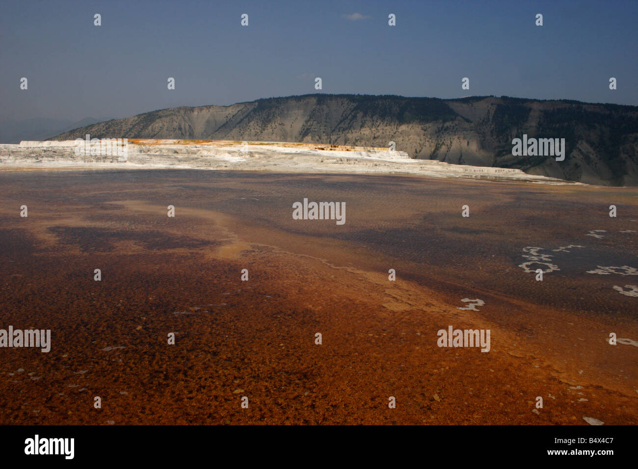 Travertin-Terrassen im Mammoth Hot Springs Yellowstone Park im Juli Stockfoto