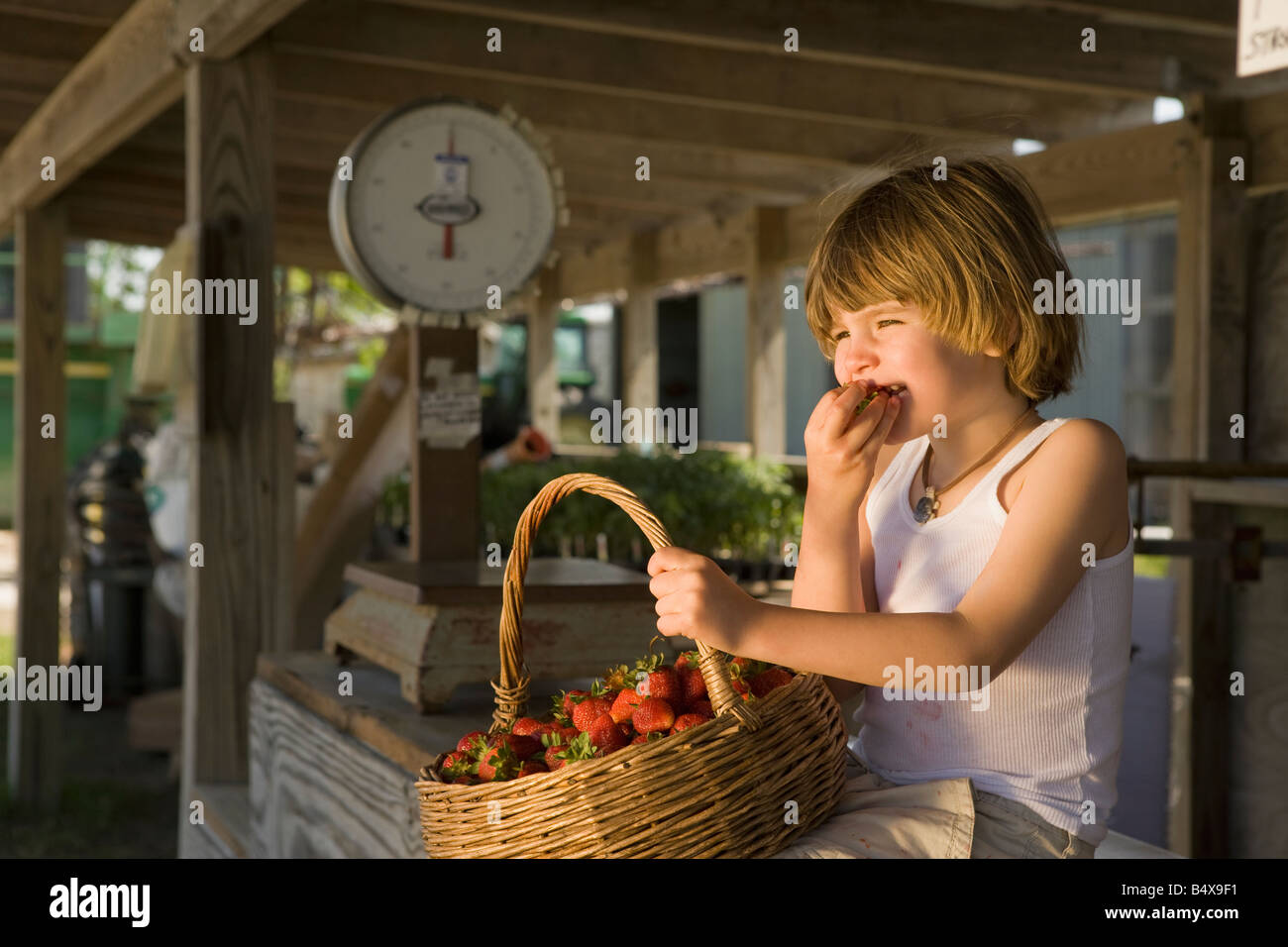 Mädchen essen frische Erdbeeren am Bauernhof stand Stockfoto