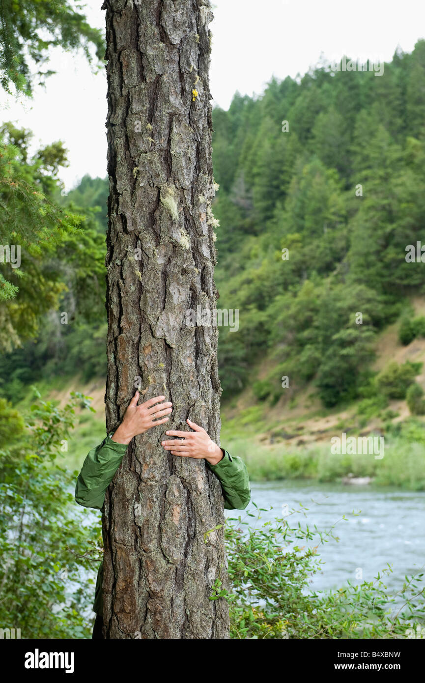 Wanderer umarmt Baum Stockfoto