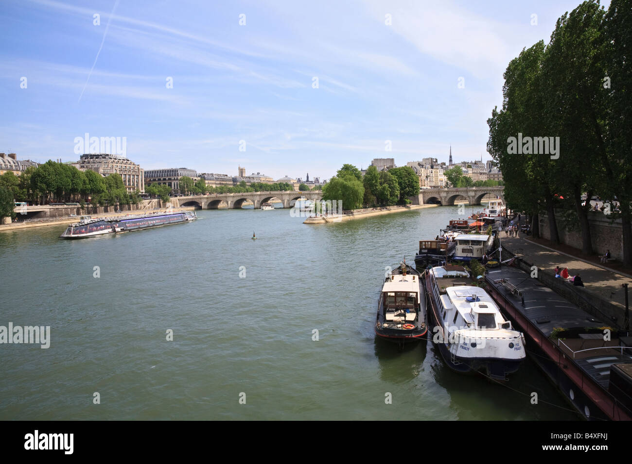 Île De La Cité und am Ufer von Pont des Arts-Paris-Frankreich Stockfoto
