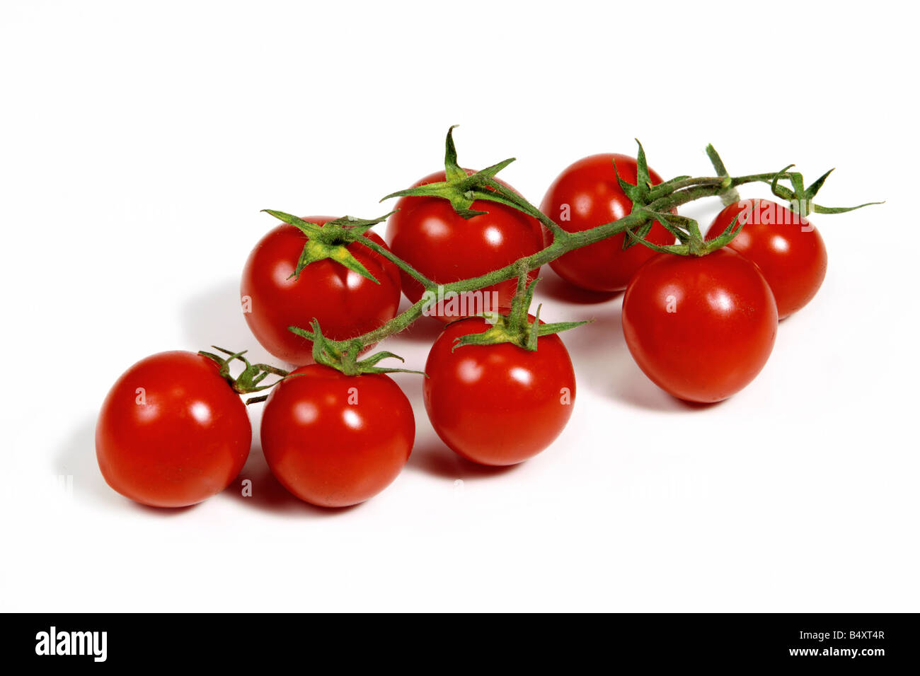 Cherry-Tomaten Stockfoto