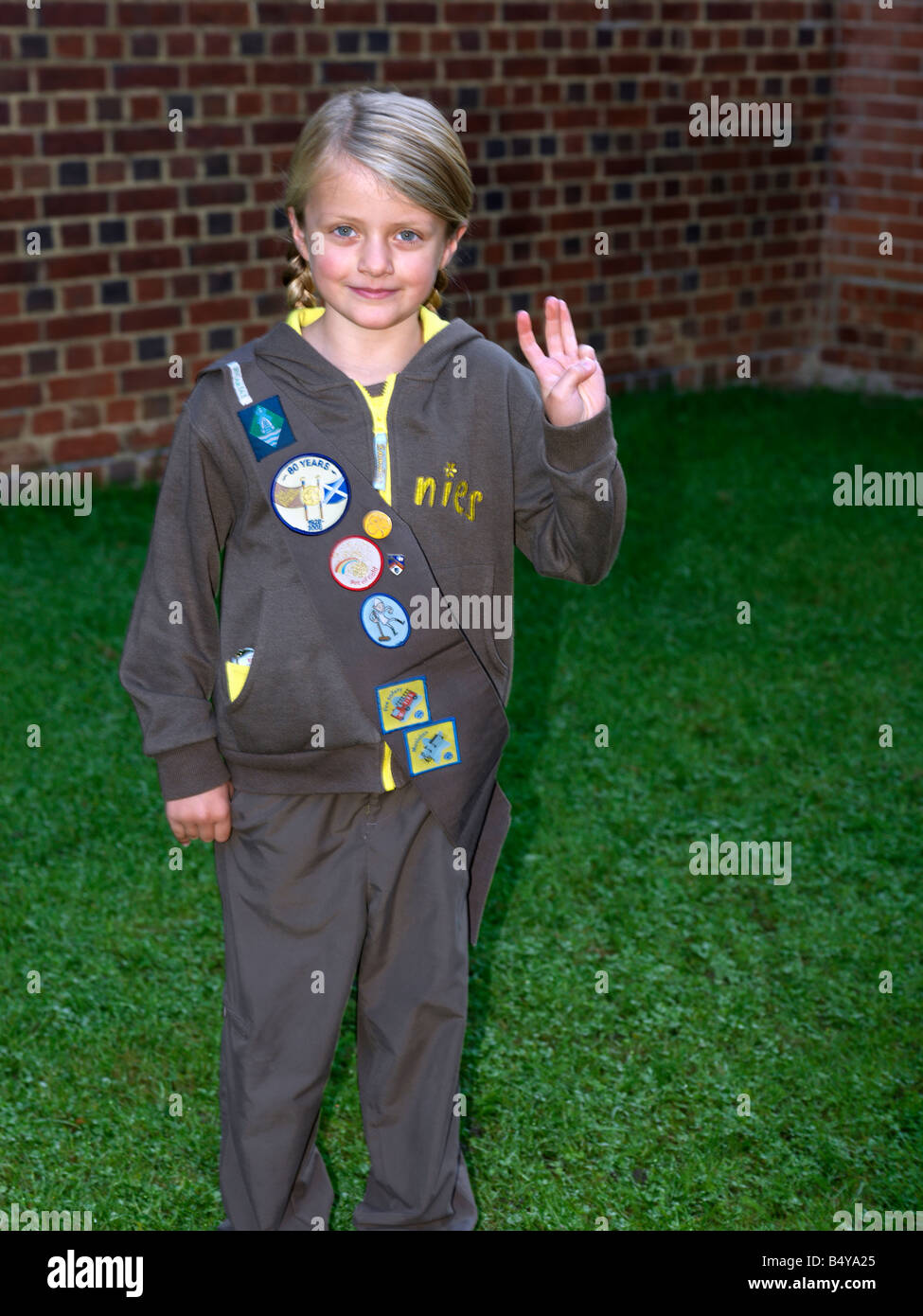 Der Brownie Versprechen Brownie Stockfoto