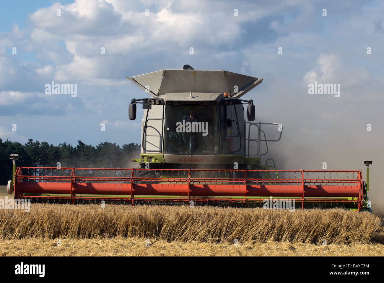 Kombinieren Sie Mähdrescher schneiden Weizen, Butley, Suffolk, UK. Stockfoto
