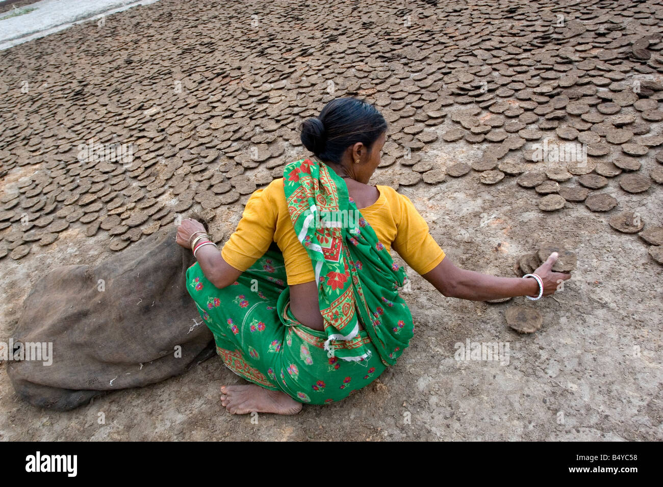 Eine Frau, die Kuh Dung Kuchen nach dem Tod unter Sonne zu sammeln. Fotografiert in einem abgelegenen Dorf von Westbengal, Indien Stockfoto