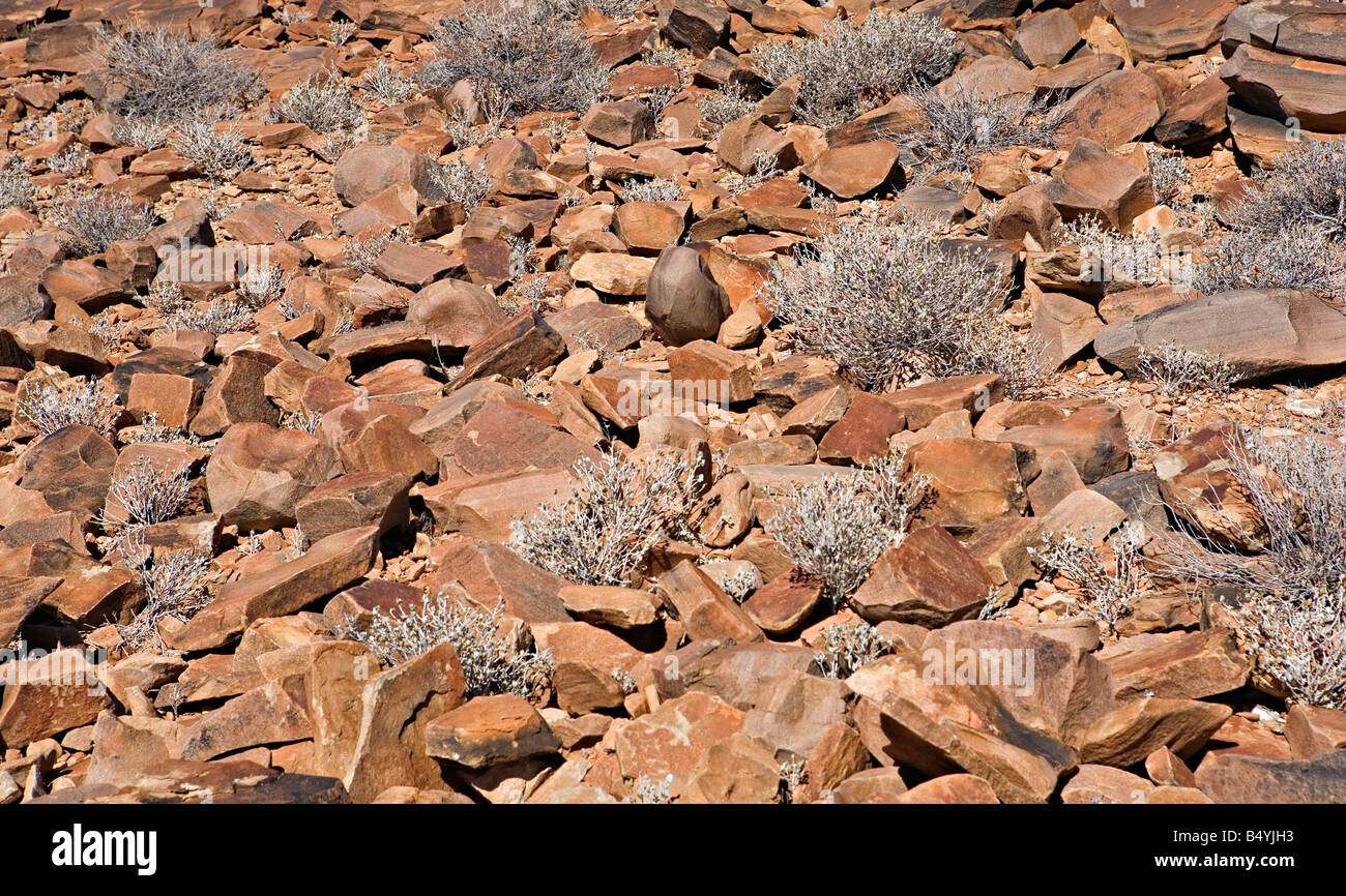 Felsigen Trümmern in der verbrannte Berg Gebiet Twyfelfontein