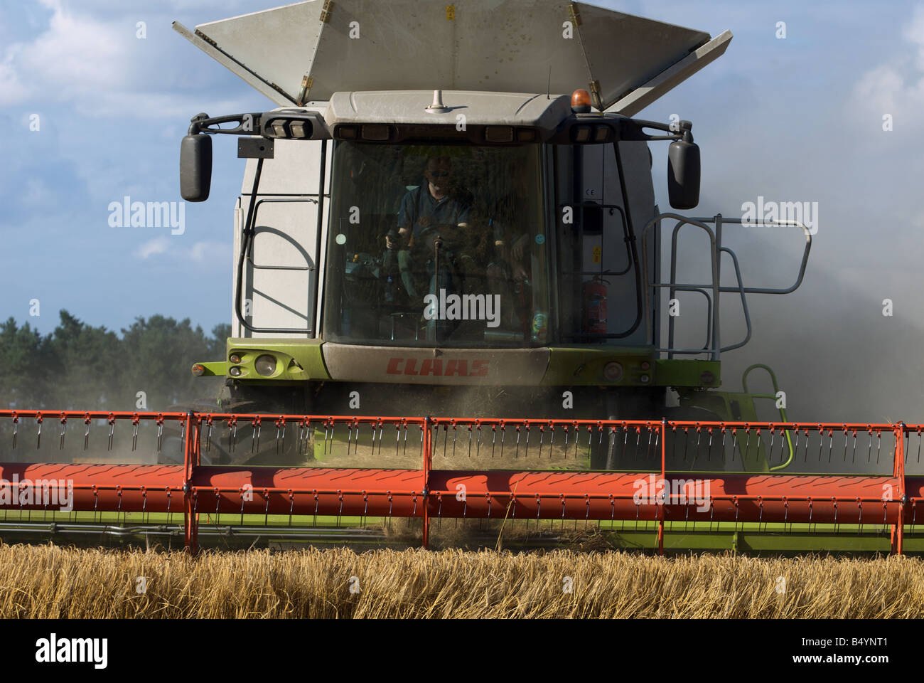 Kombinieren Sie Mähdrescher schneiden Weizen, Butley, Suffolk, UK. Stockfoto