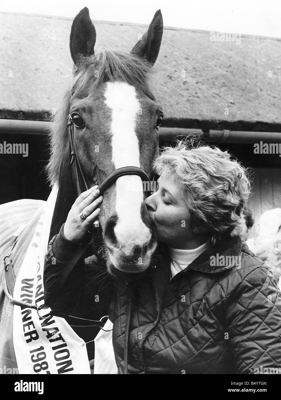No74 Corbiere Gewinner der 1983 Grand National ist durch seine glückliche Trainer Jenny Pitman in seine Stallungen im oberen Lambourne Berkshire geküsst 10. April 1983 Besitzer Brian Burrough J Norman Jockeys Ben de Haan Peter Scudamore Bryan Smart Datensatz springt 12 Siegen aus 63 startet Karriere-Highlights gewann 1982 Welsh Grand National 1983 Grand National 2. 1981 Sun Alliance Chase 1983 Ritz Club National Hunt Handicap Chase 1986 Welsh Grand National 3. 1984 1985 Grand National Grand National Mirrorpix Stockfoto