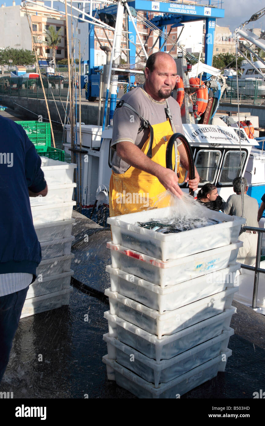 Fischer, die Kisten mit Fisch waschen, bevor sie geladen, go to Market Playa San Juan Teneriffa Kanarische Inseln Stockfoto