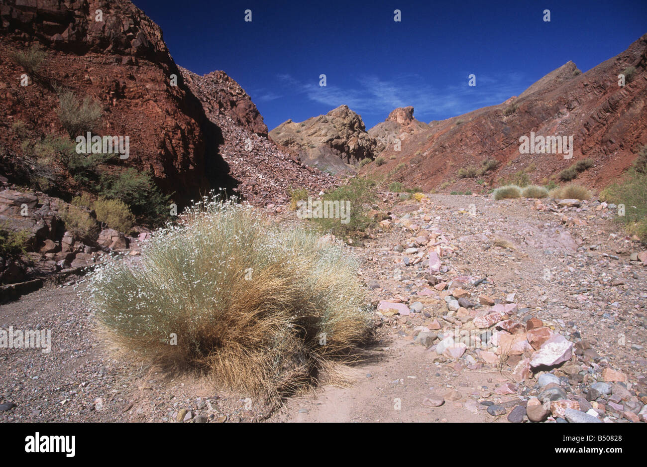 Getrocknete Flussbett in der Wüste in den Vorgebirgen der Anden bei Barreal, Calingasta Valley, Argentinien Stockfoto