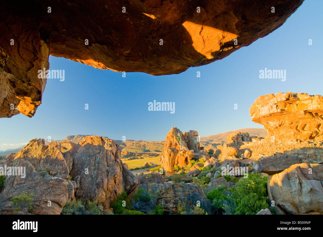 Felsformation, Cederberg Berg, Western Cape, Südafrika Stockfoto