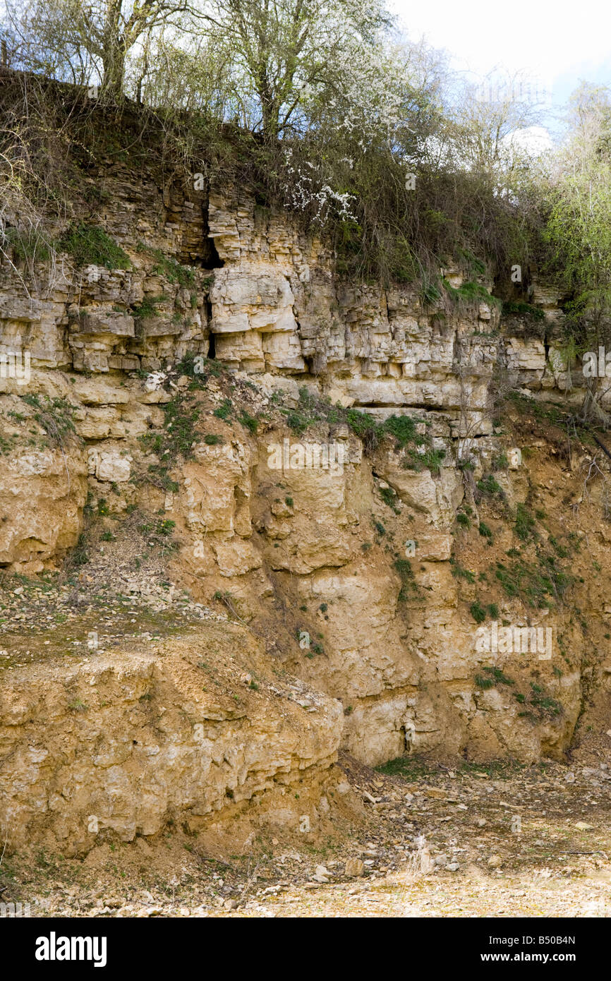 Steinigen Furlong eine alte Cotswold stone, Steinbruch und Bahnhof in der Nähe von Chedworth Gloucestershire schneiden Stockfoto