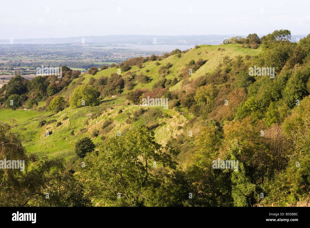 Die Cotswold Böschung am Haresfield Leuchtturm, Gloucestershire Stockfoto