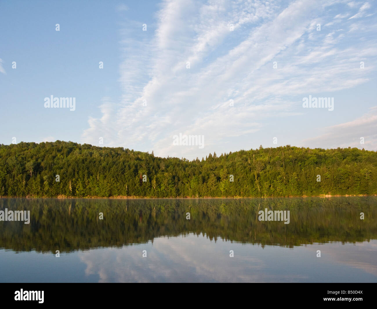 Hügeln entlang des St. John River bei Sonnenaufgang Stockfoto