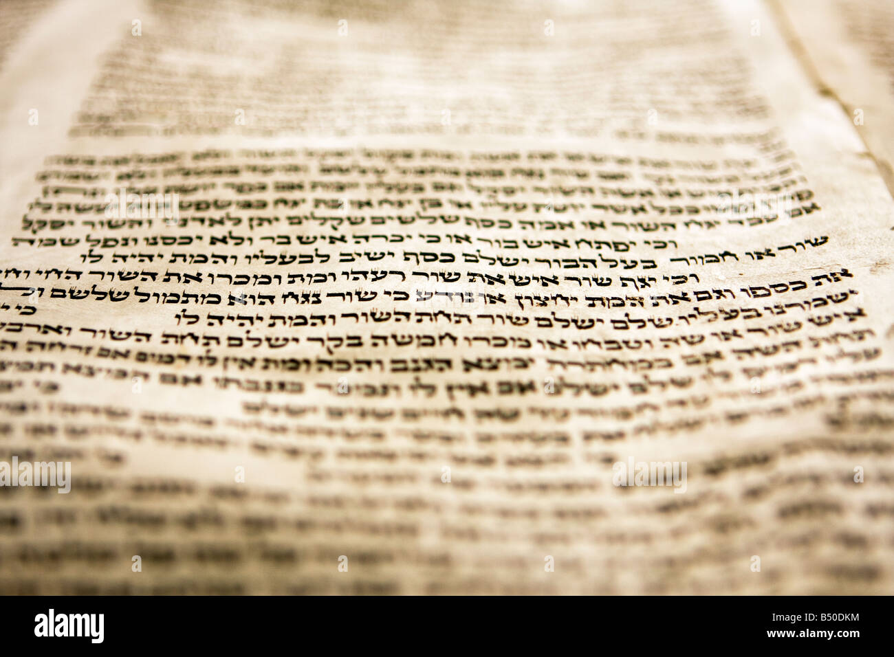Ein oder zwei Zeilen des hebräischen Textes in eine Tora-Rolle Stockfoto