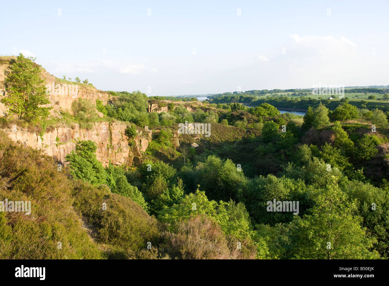 die alten verlassenen Steinbruch mit Wald Stockfoto