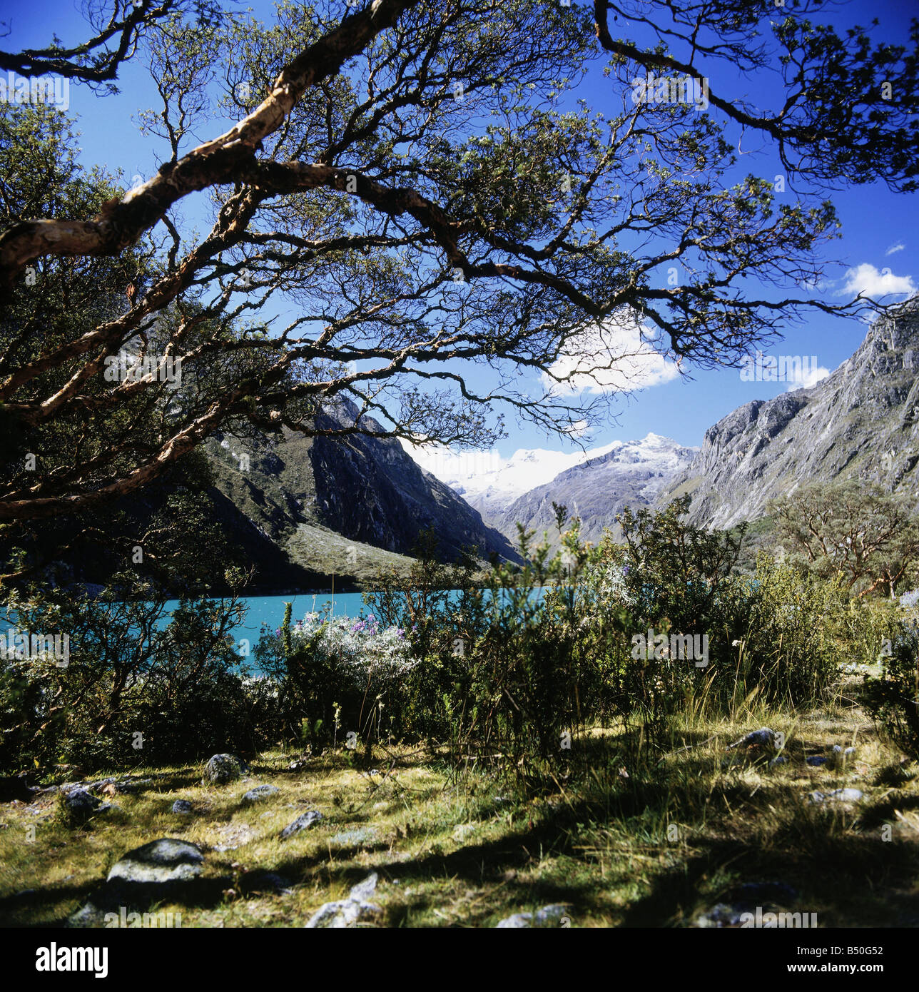 Geographie/Reisen, Peru, Landschaften, See Llanganuco, Südamerika, Anden, schneebedeckten Berg, berg, berge, Huascaran Nationalpark, Landschaft, SOAM, UNESCO-Weltnaturerbe/Sites,, Additional-Rights - Clearance-Info - Not-Available Stockfoto